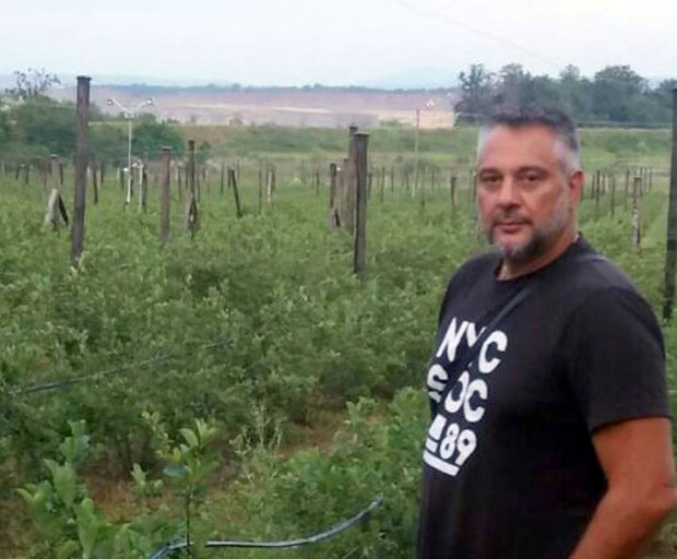 СТИЖЕ АРОНИЈА ДО СТРАЗБУРА: Пропао покушај повратника из Шведске да почне органску производњу код Уба